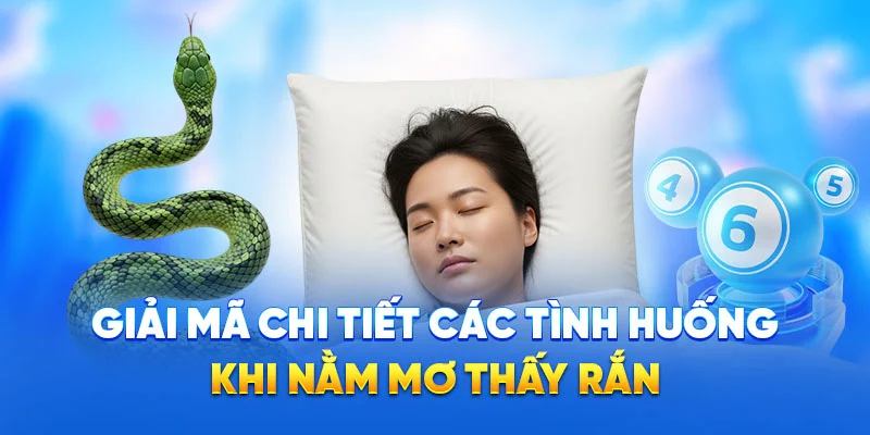 Giải mã chi tiết các tình huống khi nằm mơ thấy rắn